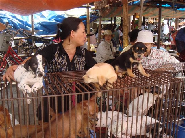 Hang traditional market in Hai Phong - ảnh 2